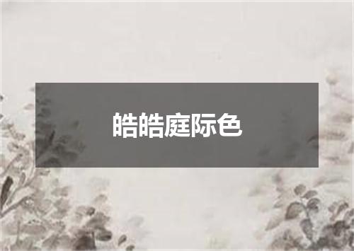 皓皓庭际色