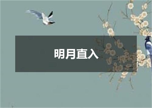明月直入