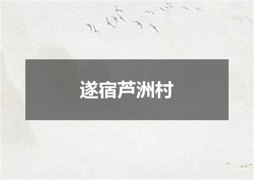 遂宿芦洲村