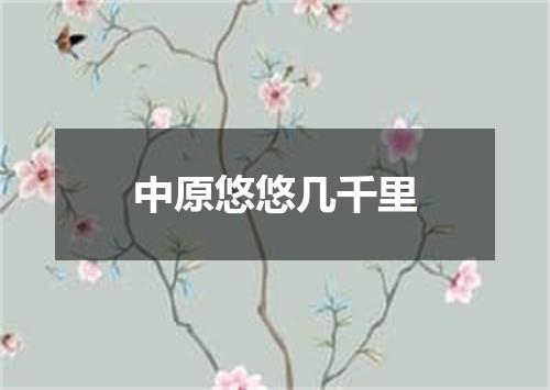 中原悠悠几千里