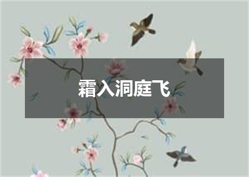 霜入洞庭飞