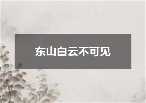 东山白云不可见