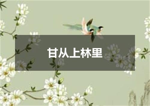 甘从上林里