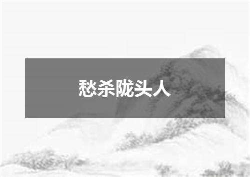 愁杀陇头人