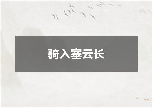骑入塞云长