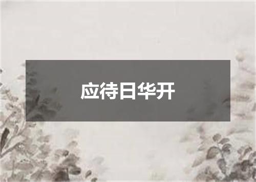 应待日华开