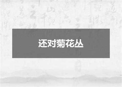 还对菊花丛