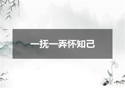 一抚一弄怀知己