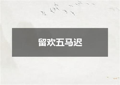 留欢五马迟