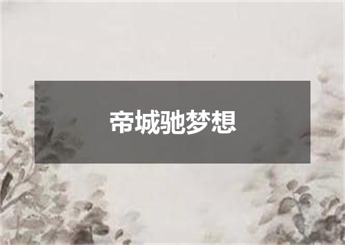帝城驰梦想