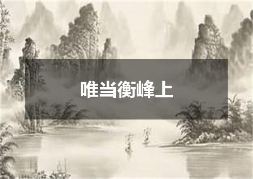 唯当衡峰上
