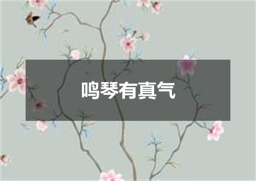 鸣琴有真气