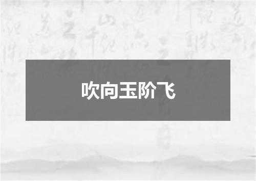 吹向玉阶飞
