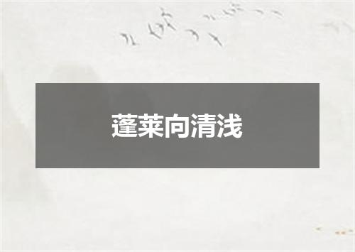蓬莱向清浅