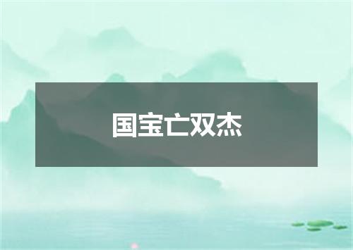国宝亡双杰