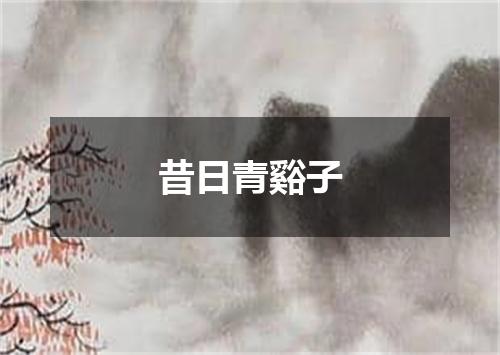 昔日青谿子