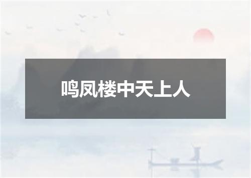 鸣凤楼中天上人