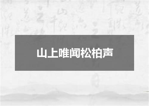山上唯闻松柏声