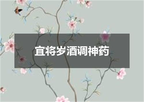 宜将岁酒调神药
