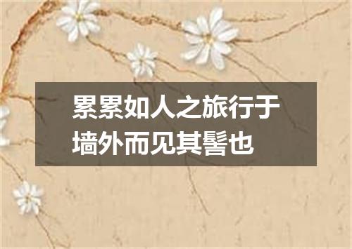 累累如人之旅行于墙外而见其髻也