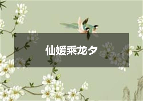 仙媛乘龙夕