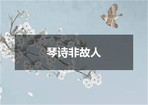 琴诗非故人
