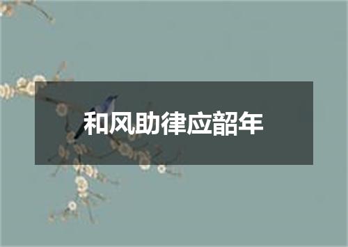 和风助律应韶年