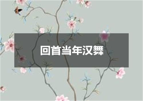 回首当年汉舞