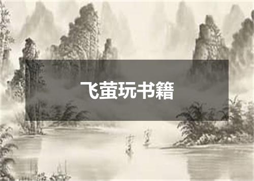 飞萤玩书籍