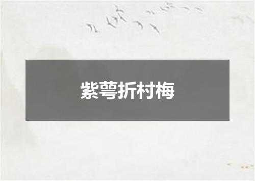 紫萼折村梅