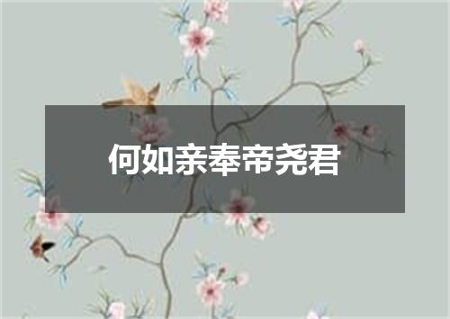 何如亲奉帝尧君