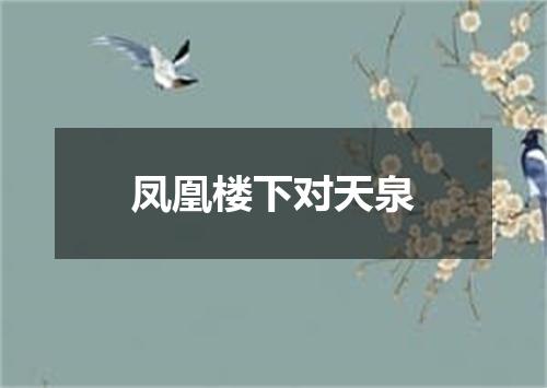 凤凰楼下对天泉