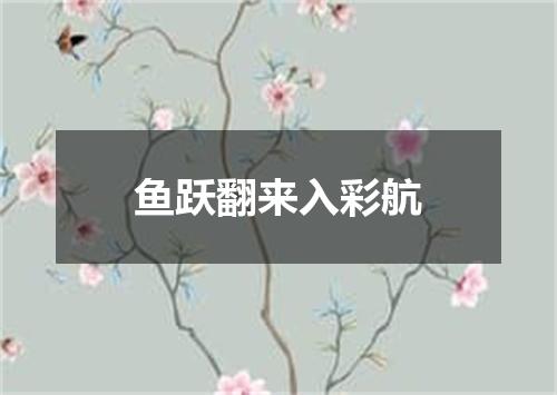 鱼跃翻来入彩航