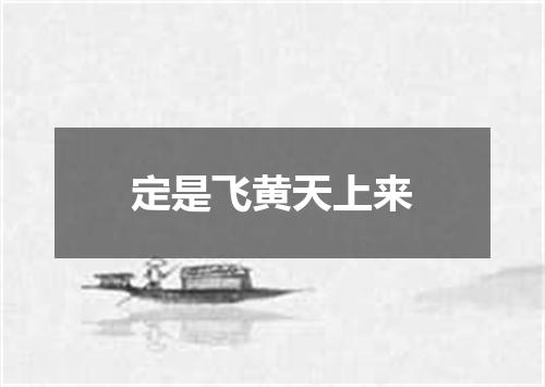 定是飞黄天上来