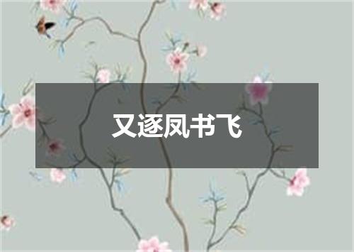 又逐凤书飞