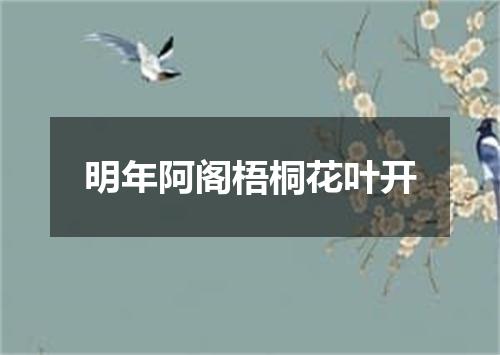 明年阿阁梧桐花叶开
