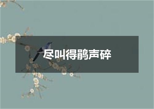 尽叫得鹃声碎