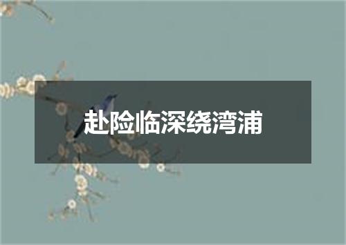 赴险临深绕湾浦