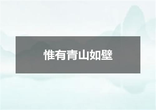 惟有青山如壁