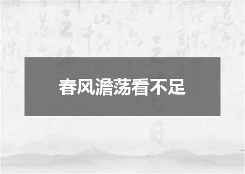 春风澹荡看不足