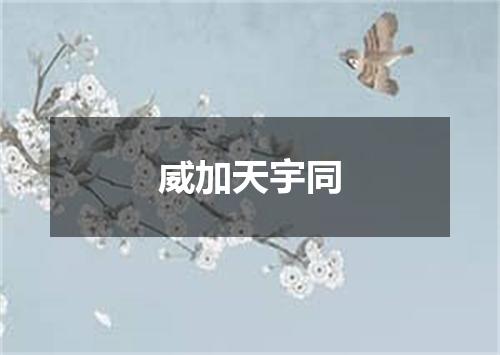 威加天宇同