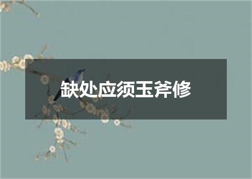 缺处应须玉斧修