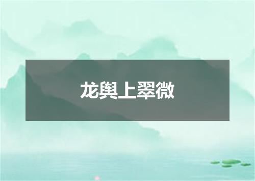 龙舆上翠微