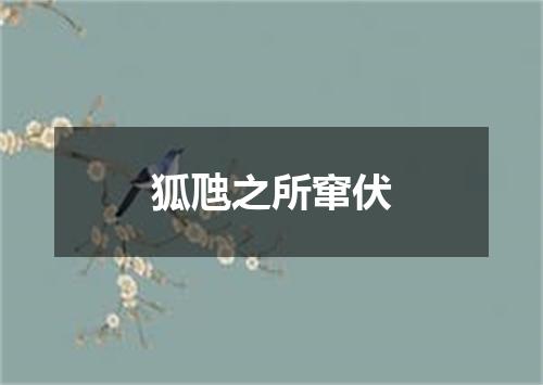 狐虺之所窜伏