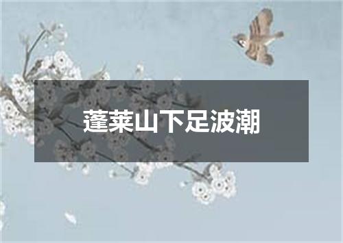 蓬莱山下足波潮