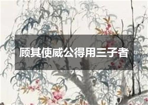 顾其使威公得用三子者