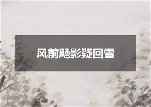 风前飏影疑回雪