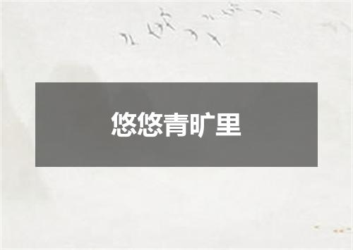 悠悠青旷里