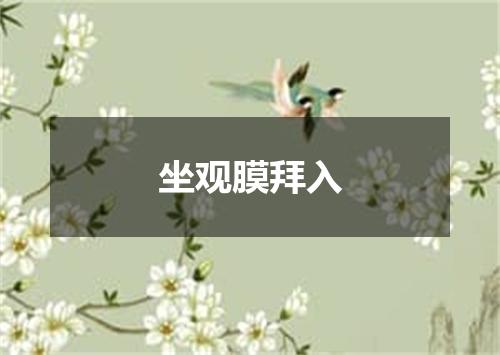坐观膜拜入