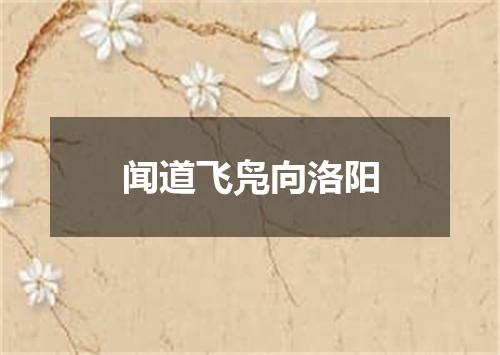 闻道飞凫向洛阳